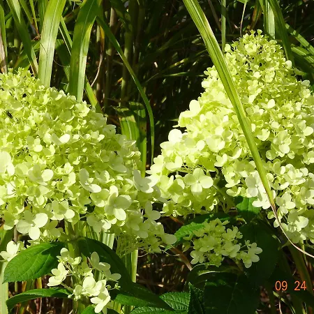 Semesterbostad Lucia