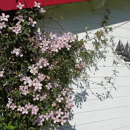 Lucia Semesterbostad Glowe